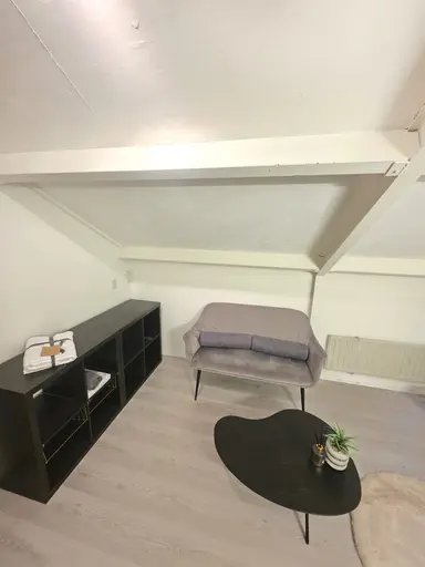 33m2 apartment to rent for 1395€/month in Landauerdrift, Nieuwegein