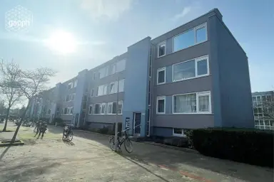 48m2 apartment in affitto per 580.5€/mese a Junolaan, Rotterdam