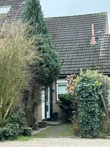 65m2 house to rent for 772.99€/month in Braamkamp 467, Zutphen