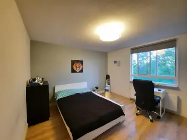 15m2 room te huur voor 600€/maand in Den Uylsingel, Rotterdam