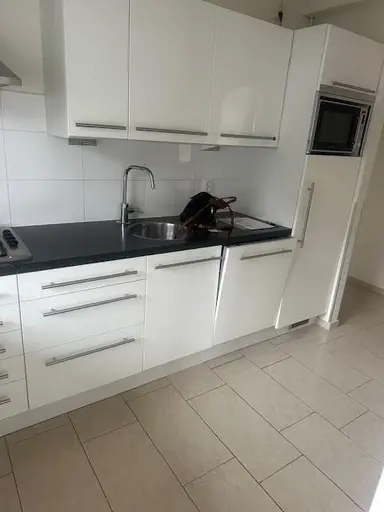 90m2 apartment te huur voor 1187€/maand in Oude Kraan, Arnhem