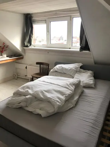 12m2 room te huur voor 485€/maand in Dierenselaan 154, The Hague