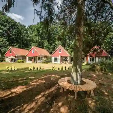 80m2 house te huur voor 1600€/maand in Beekbergerweg, Loenen