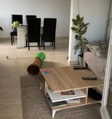 38m2 room to rent for 865€/month in Sigmaplantsoen 12, Leiden