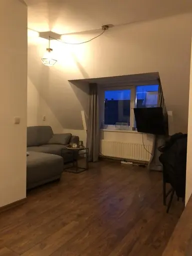 46m2 apartment to rent for 1290€/month in Piusstraat, Tilburg