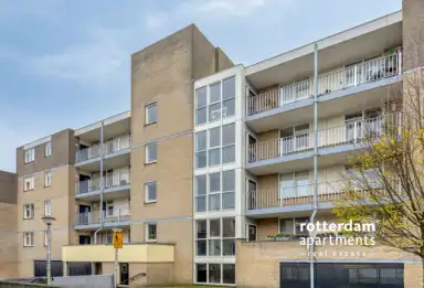 12m2 room to rent for 828.67€/month in Henry Moorepassage, Capelle aan den IJssel