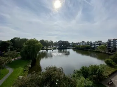 10m2 room to rent for 823€/month in Henry Moorepassage, Capelle aan den IJssel