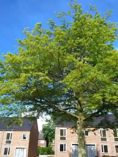 115m2 house te huur voor 1395€/maand in Berceusestraat 31, Maastricht