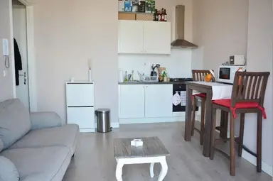 35m2 apartment zur Miete für 1195€/Monat in Newtonstraat, The Hague