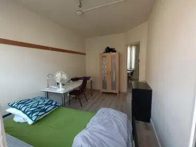 11m2 room te huur voor 468€/maand in Goudenregenstraat, Eindhoven