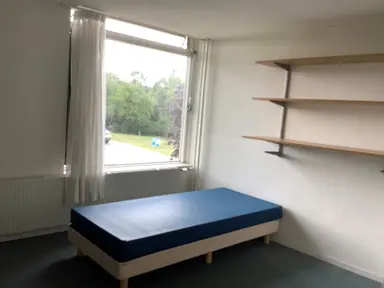 17m2 room to rent for 559€/month in Commandeursweg, Bennekom