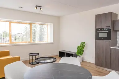 58m2 apartment to rent for 1600€/month in Rosmolenplein, Tilburg