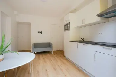 25m2 studio te huur voor 1087.5€/maand in Weteringplein 14, The Hague