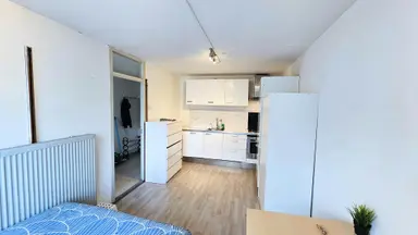 42m2 studio te huur voor 1299€/maand in Paardebloem, Rotterdam