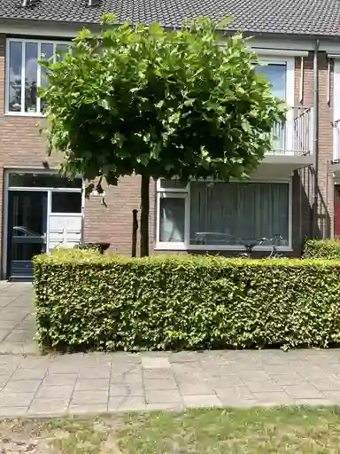 0m2 apartment to rent for 488.04€/month in Houtelaar 27, Rijen