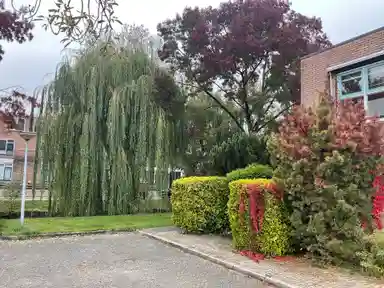 15m2 rent.advertCard.ANTI-SQUAT zur Miete für 300€/Monat in Huizen