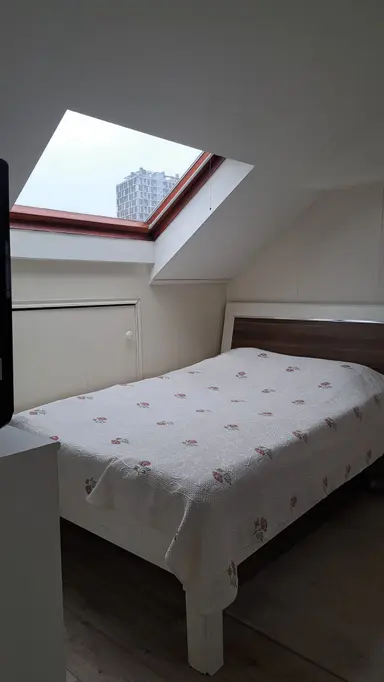 30m2 Chambre à louer pour 1100€/mois à Zilvergeldstraat, Utrecht