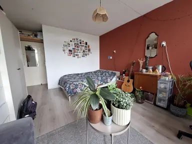 20m2 Zimmer zur Miete für 350€/Monat in Van Hasseltlaan, Delft