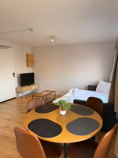 40m2 Appartamento in affitto per 1500€/mese a Hoogstraat, Eindhoven