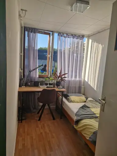 7μ² Δωμάτιο προς ενοικίαση για 285€/μήνα σε Loevesteinlaan, Arnhem
