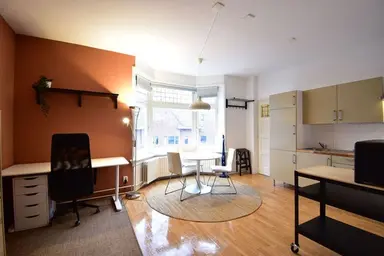 30m2 apartment to rent for 1425€/month in Doctor van Mierlostraat, Breda