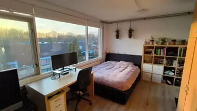 18m2 room to rent for 736€/month in Utrecht