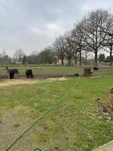 150m2 house to rent for 1500€/month in Grintweg, Wageningen