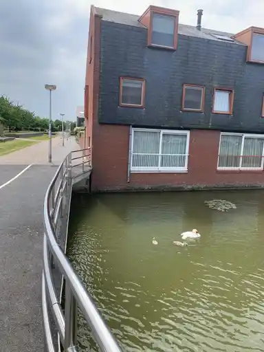 14m2 Zimmer zur Miete für 1200€/Monat in Galgenraklaan, Utrecht