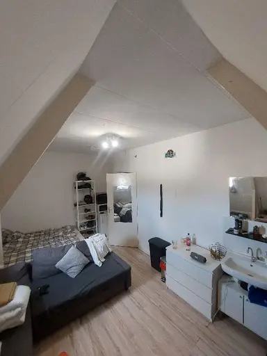 18m2 Kamer te huur voor 620€/maand in Berg en Dalseweg, Nijmegen