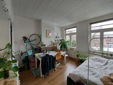 15m2 Camera in affitto per 630€/mese a Groningen