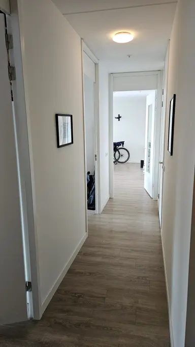 12m2 Camera in affitto per 1000€/mese a Houtlaan, Rotterdam