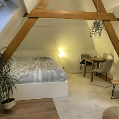 28m2 studio te huur voor 815€/maand in Ginnekenstraat, Breda