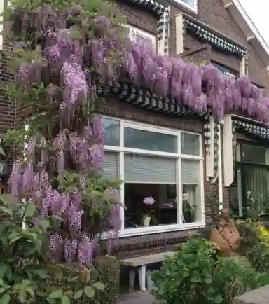 123m2 house to rent for 3200€/month in Laan van Sevenstar 18, Voorburg