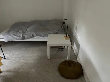 17m2 Camera in affitto per 650€/mese a Johan de Wittlaan, Arnhem