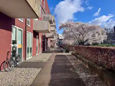 96m2 apartment to rent for 1950€/month in Groenmarktstraat 6, Utrecht