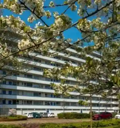 64m2 flat te huur voor 986€/maand in Honthorstlaan, Alkmaar