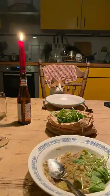 17m2 room to rent for 530€/month in Mulderspad, Nijmegen