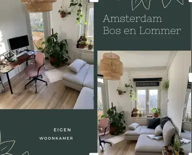 26m2 room to rent for 999€/month in Erik de Roodestraat, Amsterdam
