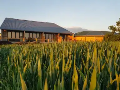 56m2 Haus zur Miete für 1600€/Monat in Mosselweg, Dronten