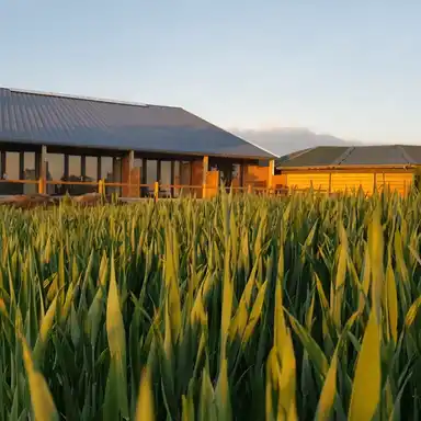 56m2 Haus zur Miete für 1600€/Monat in Mosselweg 15, Dronten