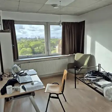11m2 Zimmer zur Miete für 691€/Monat in Delft