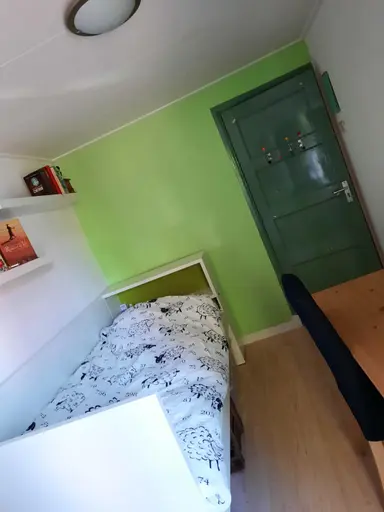 11m2 room to rent for 380€/month in Haringvlietstraat, Deventer