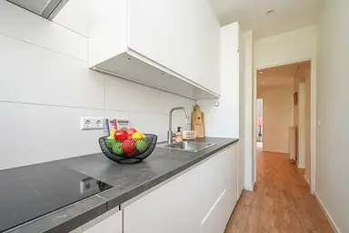 65m2 Appartamento in affitto per 1895€/mese a Admiraal de Ruyterweg, Rotterdam