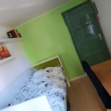 11m2 room to rent for 380€/month in Haringvlietstraat 2, Deventer