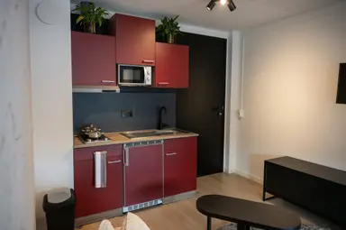 24m2 Zimmer zur Miete für 1050€/Monat in Rijksstraatweg, Schipluiden