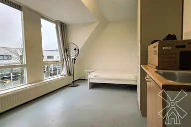 16m2 room to rent for 1171€/month in Buitenwatersloot, Delft