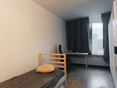 10m2 room to rent for 495€/month in Laan van de Bork, Emmen