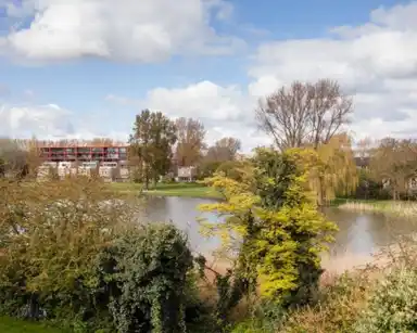 14m2 Camera in affitto per 499€/mese a Hamburgerstraat, Groningen