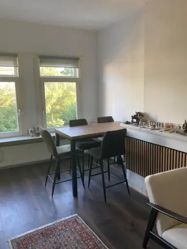 52m2 Appartement te huur voor 1200€/maand in Schapenlaan, The Hague