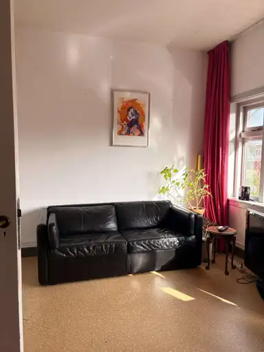 17μ² Δωμάτιο προς ενοικίαση για 550€/μήνα σε Reviuskade, Utrecht